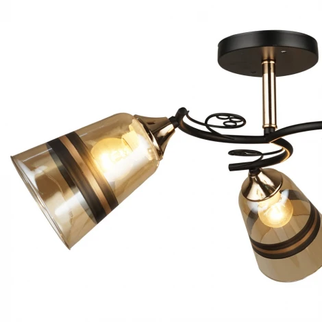 Потолочная люстра Wedo Light Спинея 66372.01.69.03