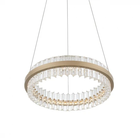 Подвесной светильник ST Luce Cherio SL383.203.01 (LED, 220V, на тросе)