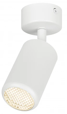 Спот ЭРА OL55 WH OL55 WH