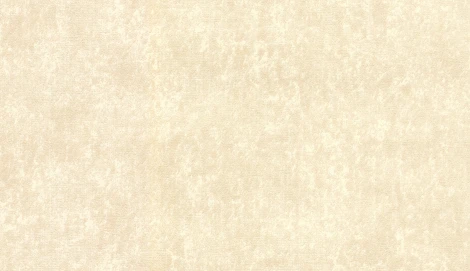 Обои виниловые Marburg Padua Classic 57310 10,05 x 1,06 м