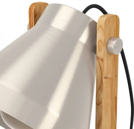 Настольная лампа Eglo Cawton 43953 (220V, выключатель)