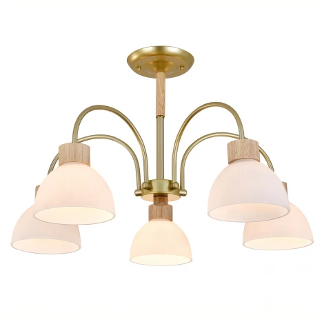 Потолочная люстра на штанге 150005/5R E27*60W Gold/Wood Escada Sade ES0000061