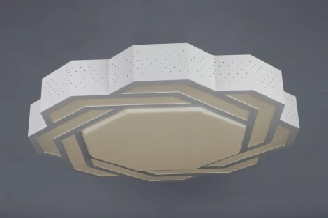 Потолочный светильник Omnilux Darwen OML-43607-59 (LED, 220V)