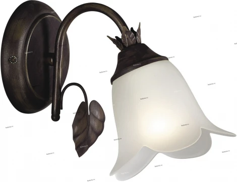 Massive 73979 81979-01-43