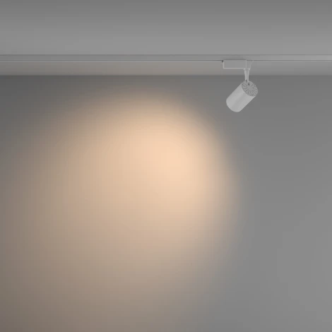 Трековый светильник Vuoro Unity 3000K 10Вт 60° LED (однофазный) Maytoni Technical TR003-1-10W3K-W-W (220V, круглые)