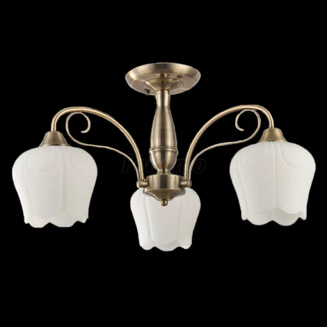 Collezioni Bacco TC-110-103