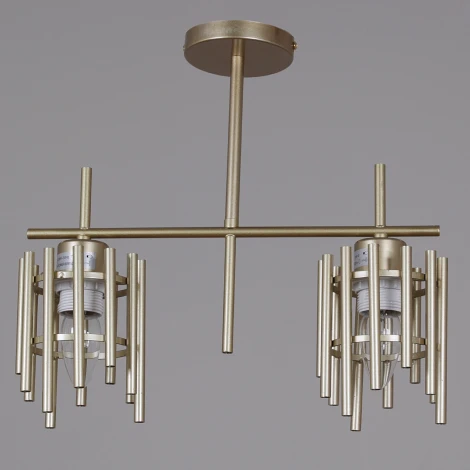 Потолочная люстра на штанге Reluce 01508-0.3-02 PG (220V)