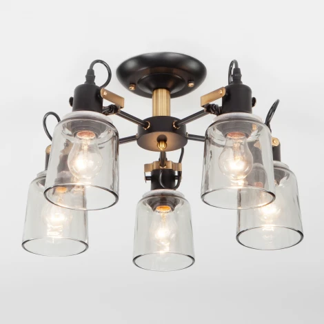 Потолочная люстра на штанге Eurosvet Astor 70111/5 черный (220V)