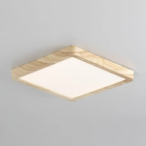 Настенно-потолочный светильник Citilux Бейсик CL738K182V (регулировка яркости, LED, 220V, IP40)