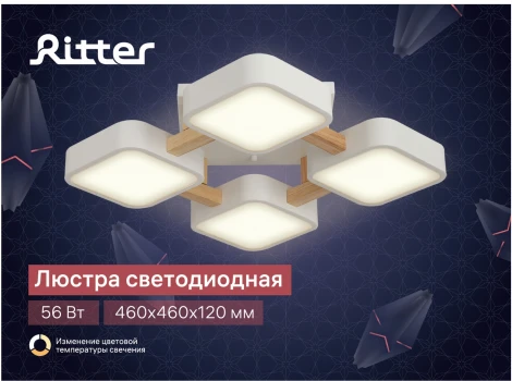 Потолочный светодиодный светильник Ritter Scandia 52072 6