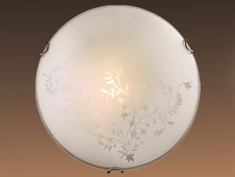 Настенно-потолочный светильник Sonex Kusta 118/K