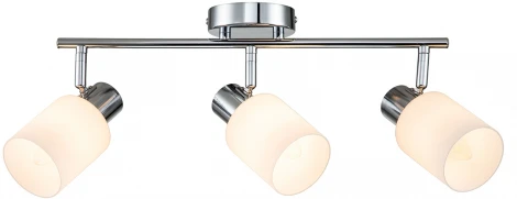 Спот на штанге Escada Nordic 10178/3A (220V, выключатель, круглые)