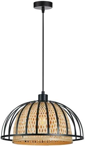 Подвесной светильник Arte Lamp Woodstock A7071SP-1BK (220V, на проводе)