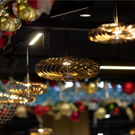 Подвесная люстра Favourite Spring 4679-1P (LED, 220V, на тросе, круглые)