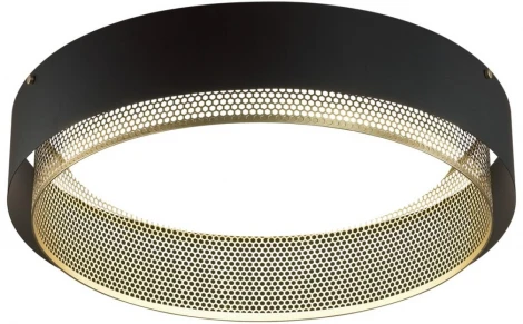 Потолочный светильник круглый Sonex Antey 7692/80L металл/акрил/белый/черный/шампань LED 80Вт 3000-6000K D610 IP20 пульт ДУ (220V, круглые)