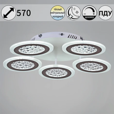 Потолочная люстра светодиодная на штанге с пультом регулировкой яркости и цветовой температуры Reluce 20491-0.3-05 WT (220V)