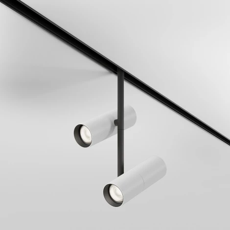 Трековый светильник магнитный 48V Maytoni Elti Duo TR005-2-2X12W4K-BW (LED, круглые)