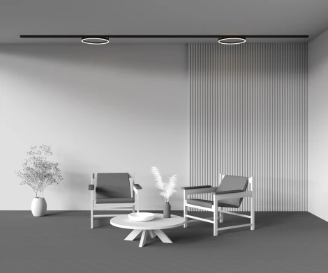 Трековый светильник магнитный однофазный 24W 48V Maytoni Rim TR227-2-24W3K-B (LED, кольцо)