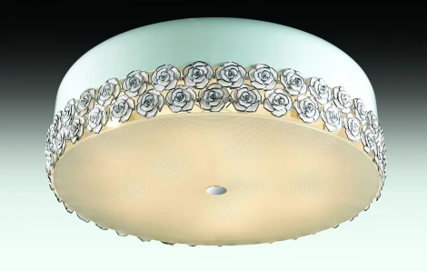 Потолочный светильник Odeon Light Rosera 2756/9C