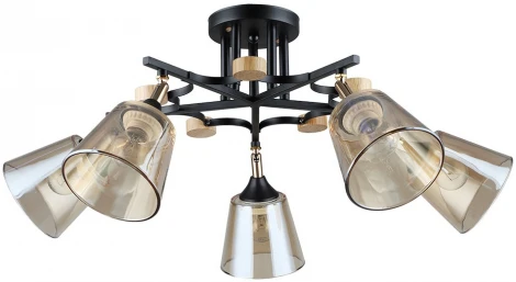 Потолочная люстра Arte Lamp Glassy A5078PL-5BK (220V)