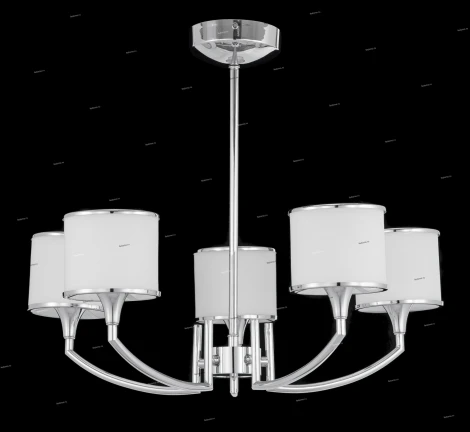 Brizzi 02484 MA02484C/005Ch