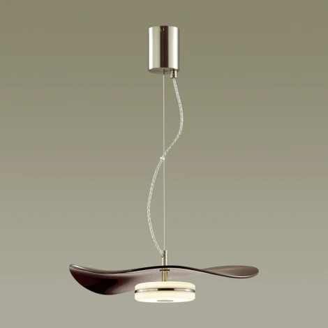 Подвесной светильник Odeon Light Fluent 4857/13L