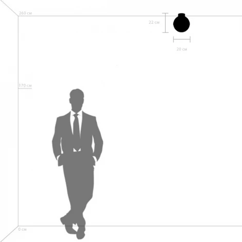 Потолочный светильник круглый Lightstar Globo 812117 (220V, шар)