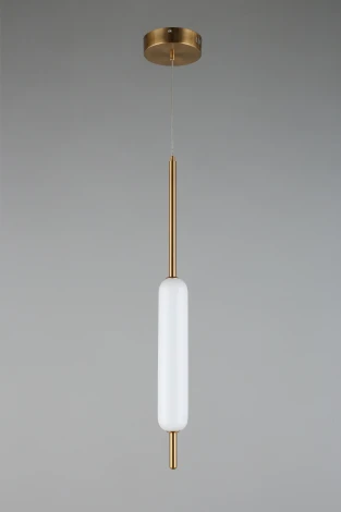 Подвесной светильник Aployt Carla APL.010.06.08 (LED, 220V, на проводе, круглые)