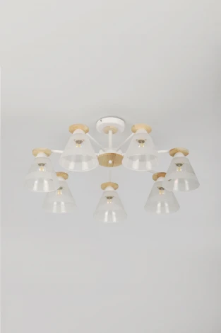 Потолочная люстра на штанге Rivoli Theothila 9177-308