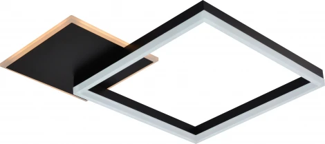 Потолочная люстра светодиодная с пультом регулировкой цветовой температуры и яркости Rivoli Sandra 6146-101