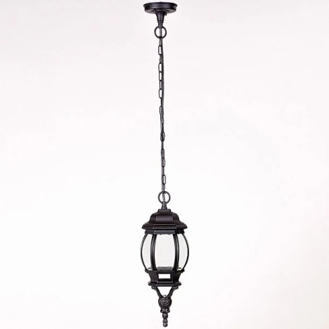 Уличный светильник подвесной Oasis Light 83405S Bl (220V, на цепи, IP44)