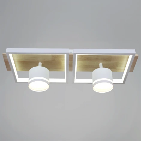 Потолочная люстра с пультом с регулировкой цветовой температуры, яркости и ночным режимом Reluce 19560-0.3-2+2 WH+WOOD