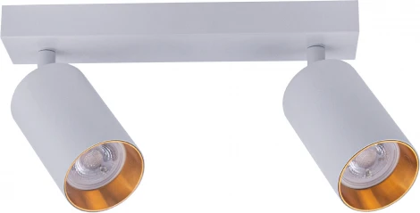 Потолочный светильник спот Brizzi Aras BR08084