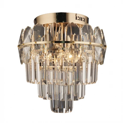 Потолочная люстра Wedo Light Eva 70683.01.01.05