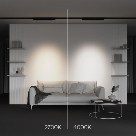 Трековый светильник трехфазный 20W 220V Maytoni Points TR195-3-20W2.7K-M-B (LED)