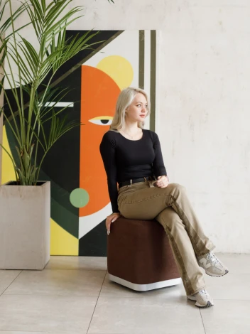 Пуф Dreambag Бадди Коричневый 13782