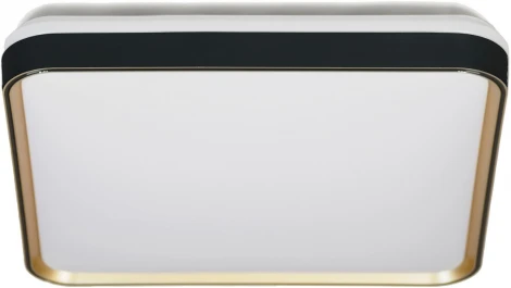Потолочный светильник Lumina Deco Paneli LDC 8061-450 BK