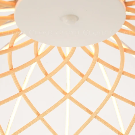 Подвесной светильник светодиодный Cloyd Cocklico 11412 (220V, на проводе)