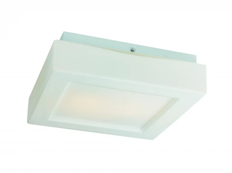 Настенно-потолочный светильник ST Luce SL504 SL504.502.02