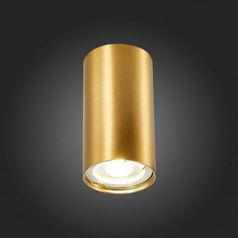 Точечный светильник ST Luce St110 ST110.207.01 (220V, круглые)