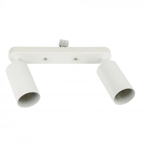 Спот накладной Fametto Sotto DLC-S620 GU10x2 WHITE