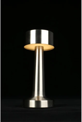 Настольная лампа светодиодная с выключателем Aployt Perrayn APL.671.14.01 (220V, круглые)