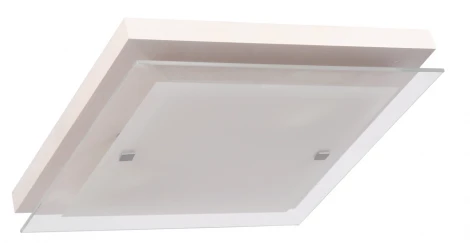 Настенно-потолочный светильник Дубравия Эко 106-11-22/1H