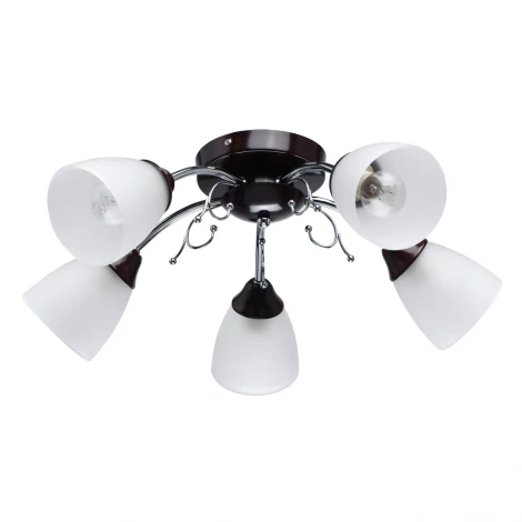 Потолочная люстра MW-Light Нежность 676015005