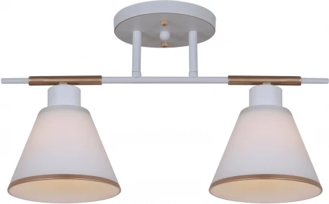 Потолочная люстра на штанге Reluce 07594-0.3-02 WG (220V)