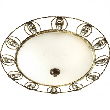 Настенно-потолочный светильник Odeon Light Kanti 3484/3C