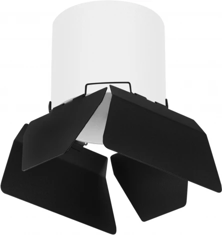 Светильник точечный накладной Lightstar Rullo R3486487 (220V)