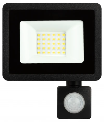 Прожектор уличный светодиодный с датчиком движения ЭРА LPR-04 LPR-042-2-65K-030