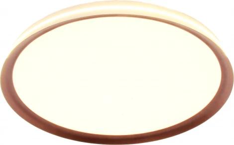 Потолочный светильник круглый светодиодный с пультом и регулировкой цветовой температуры Mizi'en Titan MZ31502-430 (220V, круглые)