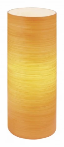 Интерьерная настольная лампа Eglo Blob 88506